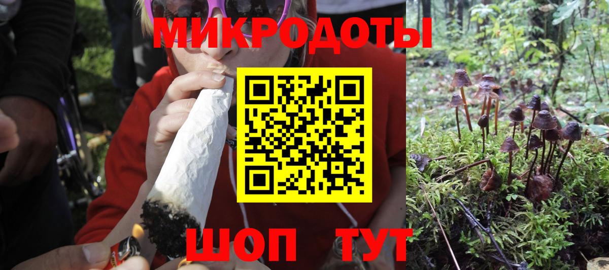 Псилоцибиновые грибы мицелий Железногорск